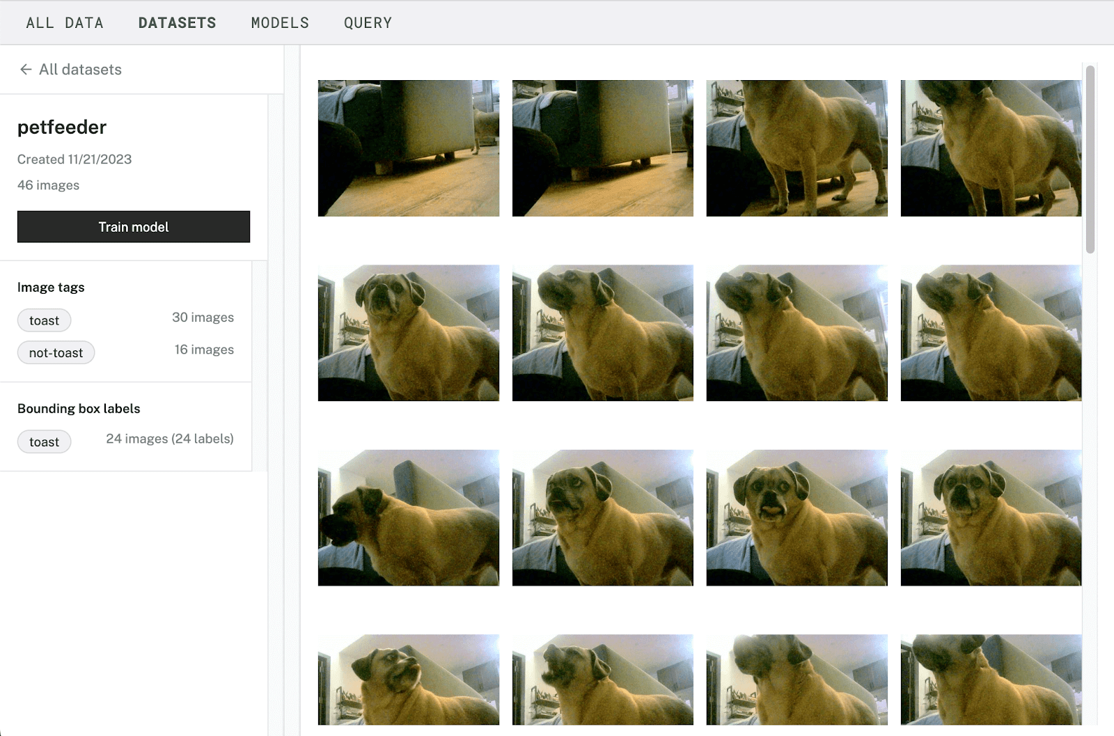The automatic pet feeder’s dataset features the image tags and box labels of the dog named Toast.