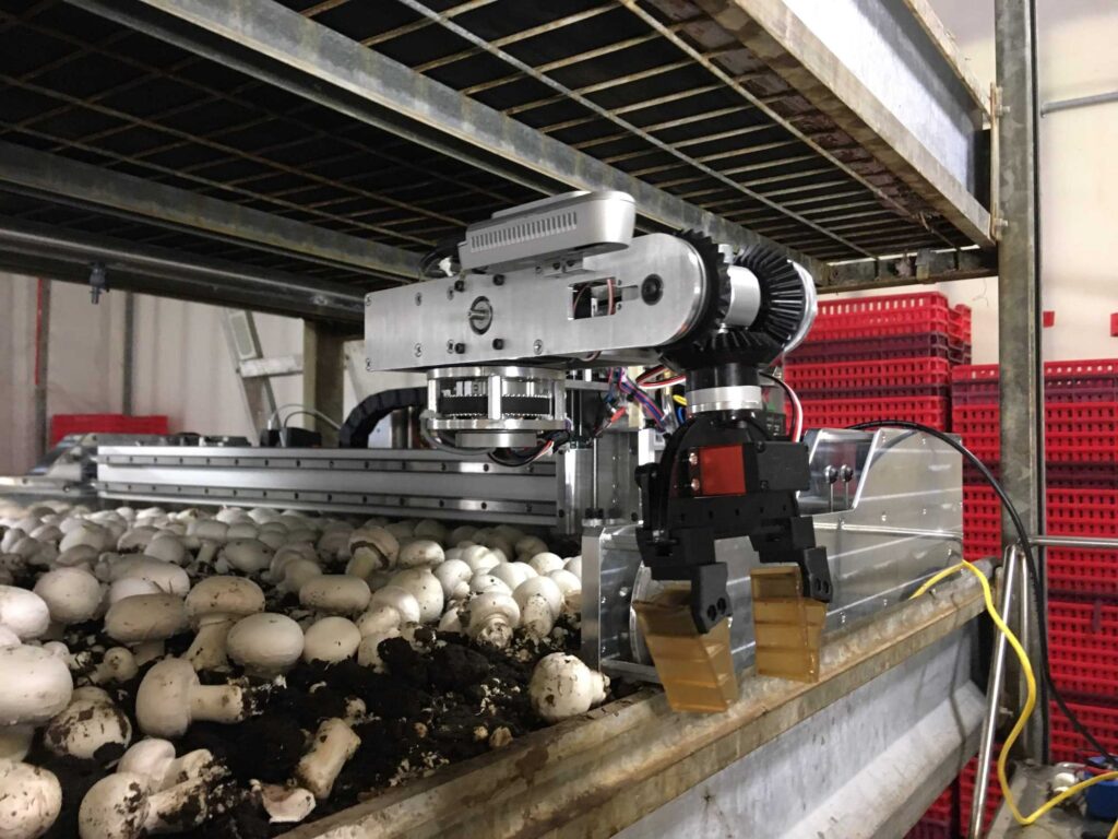 Robot in food industry