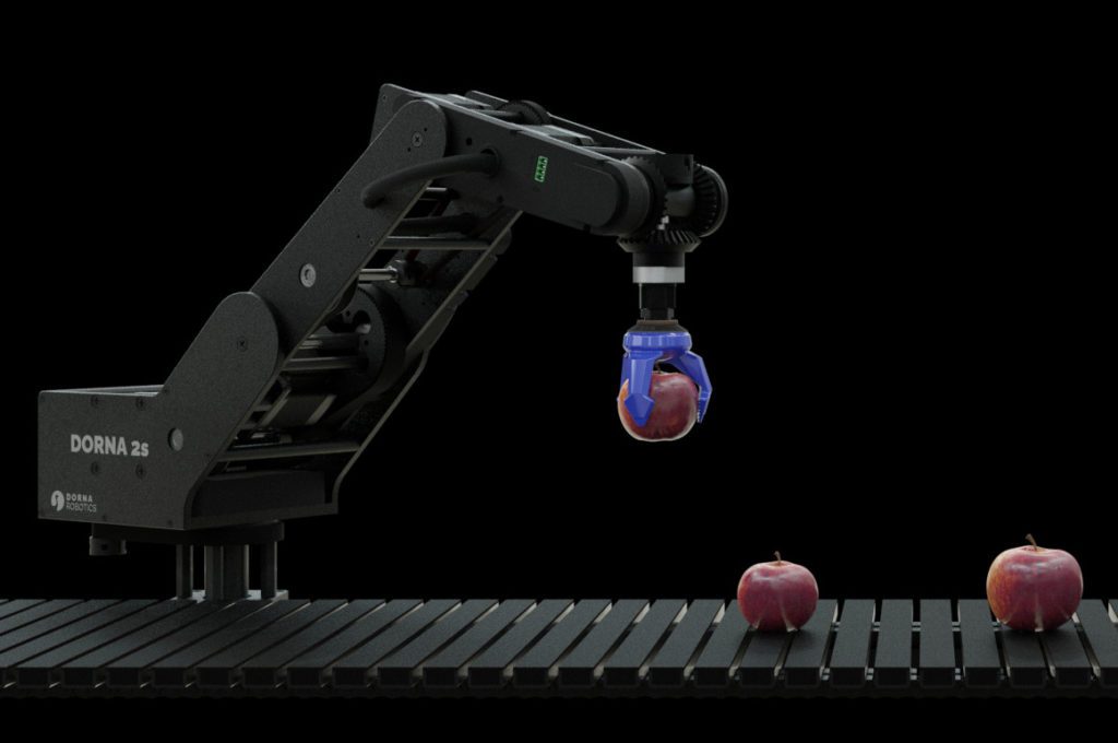 A Dorna 2s robotic arm demonstrating precise pick and place of apples using its soft gripper.
