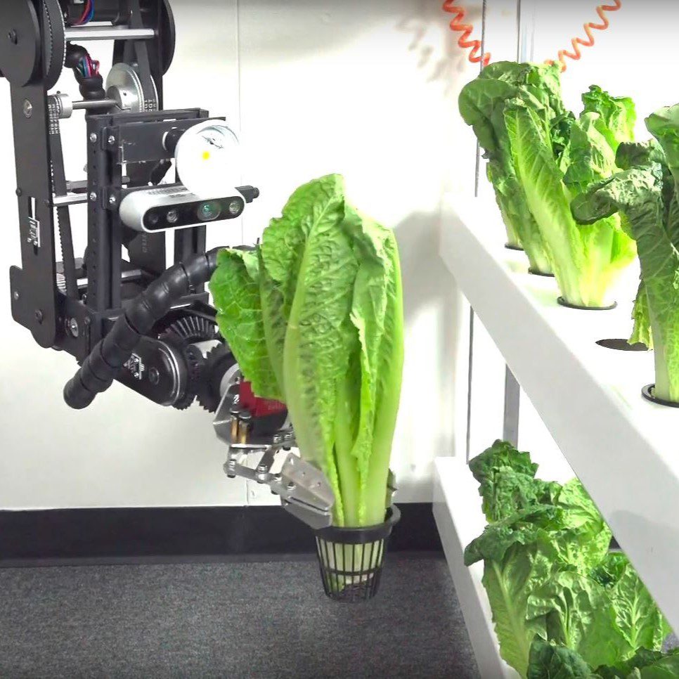 Dorna robotic arm being Customized to provide Automation Solutions for picking and placing plants at desired spots.