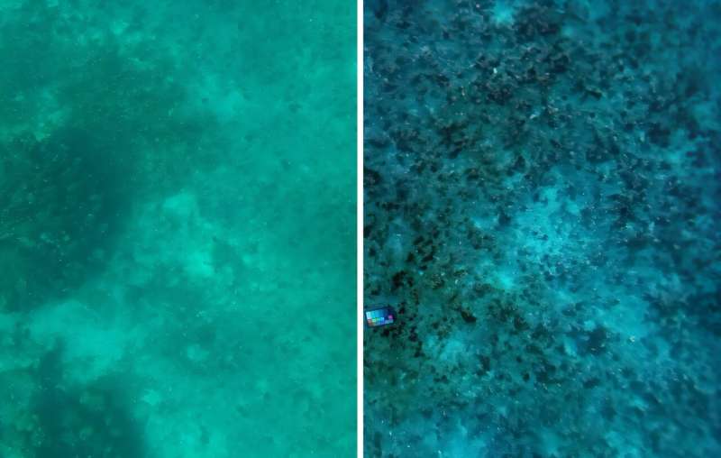 SeaSplat produces true color images of underwater scene, as captured by MIT team’s underwater robot. The original photo is in the left, and the color-corrected version made with SeaSplat is on the right. Credit: Massachusetts Institute of Technology Imaging technique removes the effect of water in underwater scenes