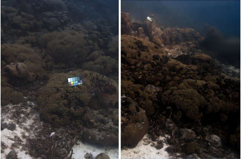 Caption:A new color-correcting tool, SeaSplat, reconstructs true colors of an underwater image, taken in Curacao. The original photo is in the left, and the color-corrected version made with SeaSplat is on the right. Credit: Massachusetts Institute of Technology Imaging technique removes the effect of water in underwater scenes