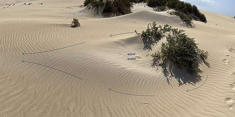 When wind hits an obstacle, it flows around the obstacle and creates a low-pressure zone on the other side. This is known as a "windwake" and can be seen in the sand patterns in the image above, which was taken in the Canary Islands. Credit: Daniel Krause/SINTEF New method detects major methane leaks—the good news is that many can be repaired quickly