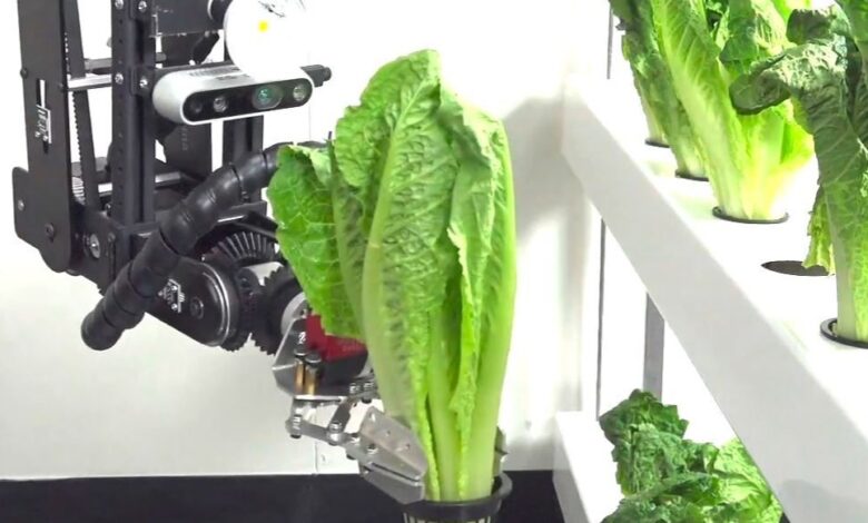 Dorna Robotics for the Food & Beverages Industry Dorna Robotics for the Food & Beverages Industry