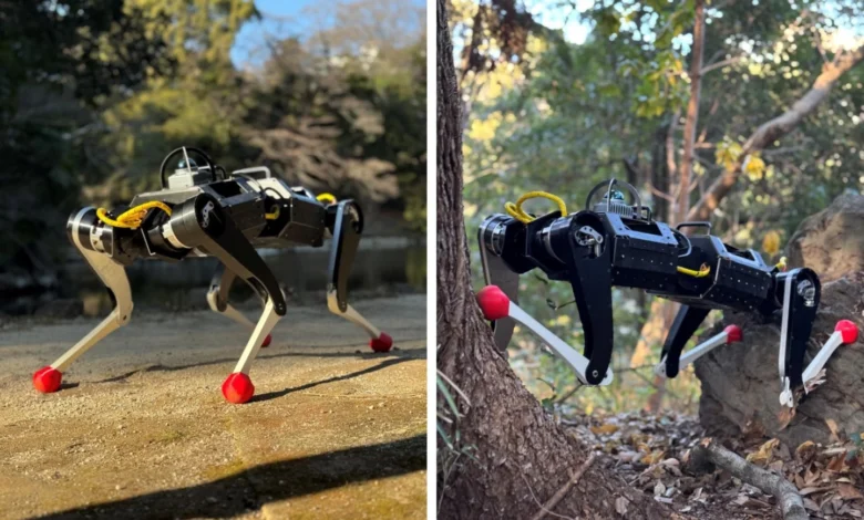 Flexible robodog climbs tight spaces with ease