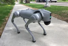 Review: Unitree Go2 Pro robot is fun on four legs – but it needs a purpose in life